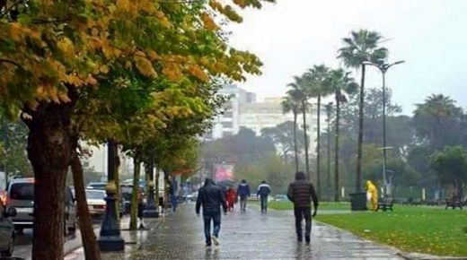 بشرى سارة للفلاحين: أمطار الخير تعود لسماء المملكة و زخات رعدية قوية غدا الثلاثاء وبعد غد الأربعاء