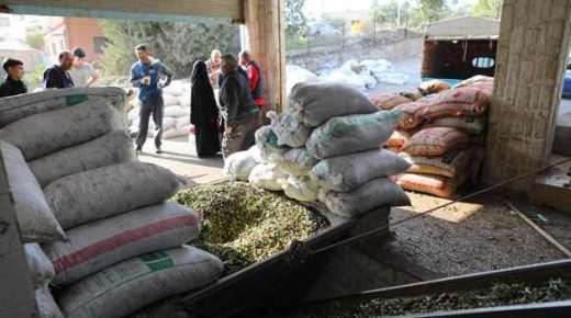 epa07202046 Sacks of freshly harvested olives await transformation into olive oil, at the Malka olive oil mill, Malka, Irbid Governorate, some 118 km North West of Amman, Jordan, 30 November 2018 (issued 01 December 2018). As in other Mediterranean and Levant countries, Olive and its byproducts are very important in the diet and heritage of Jordanians. Jordan olive trees are amongst the oldest in the world according to archeologist studies, dating back to about 5400 BC. Green, Violet or black, fresh, as oil or as a condiment it is part of everyday meals. By the olives season end between October and November every year, people stock up with their favorite items, from their local shops, the supermarkets or the producers directly. EPA-EFE/ANDRE PAIN ATTENTION: This Image is part of a PHOTO SET