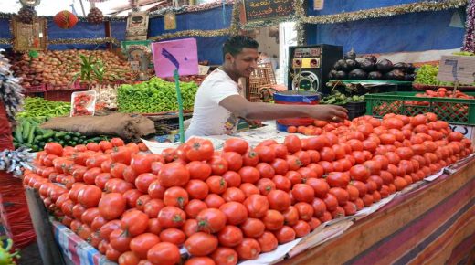 الثمن د ماطيشة وصل ل 12 درهم في فاس ، ومهنيون يكشفون الأسباب على هاد الارتفاع