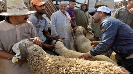 تقرير: 25% من أغنياء المغرب لا يمارسون شعيرة عيد الأضحى