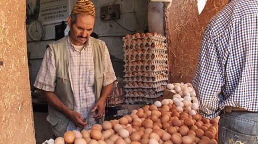 هادشي ماكايبشرش بالخير …. أنباء عن ارتفاع غير مسبوق في اثمنة البيض