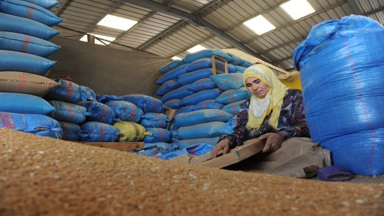 A Moroccan woman seperates the wheat from the chaff at a grain market in Rabat June 24,2012 . The cost of primary necessities in Morocco has increased due to poor harvest. AFP PHOTO/FADEL SENNA . (Photo credit should read FADEL SENNA/AFP/GettyImages)