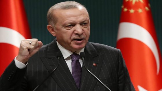 أردوغان يعلن فوزه في الانتخابات الرئاسية في تركيا و الظفر بولاية ثالثة