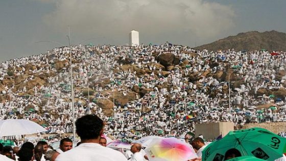 حجاج بيت الله الحرام يتوافدون على صعيد عرفات لأداء الركن الأعظم في مشهد مهيب