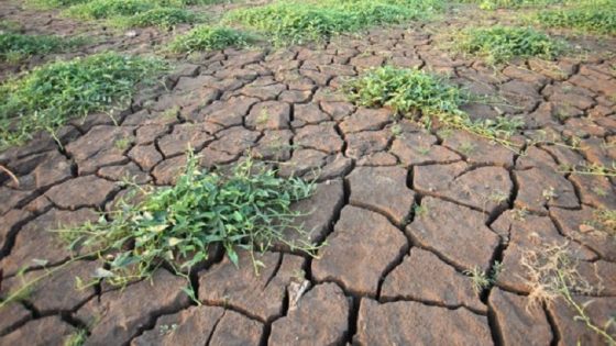 شبح استمرار الجفاف يسيطر على الفلاحين المغاربة في ظل تأخر التساقطات المطرية