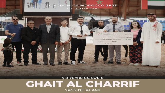 من قلب الرباط.. ياسين علمي يتألق ضمن الخمسة الأوائل في كأس الإمارات العالمية لجمال الخيل العربية