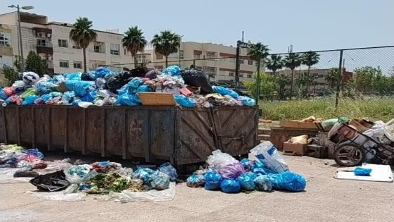 ماشي عيب شركة ميكومار تاخد 17 مليار باش تنقي احياء فاس و لكن العيب هو تخلي الازبال هكذا منتاشرة و مجلس البقالي كايتفرج