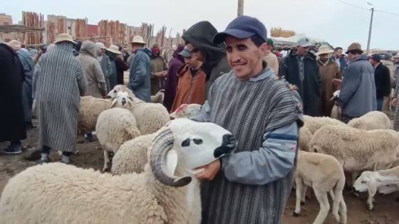 كاين شي مغاربة ضربو التوجيهات الملكية عرض الحائط و باغيين يذبحو أضحية العيد و ما مسوقينش لإنقاذ القطيع الوطني