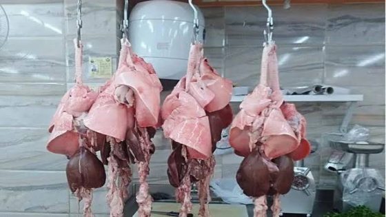 شناقة” العيد الكبير يلهبون جيوب المغاربة و ثمن الدوارة وصل ل 500 درهم
