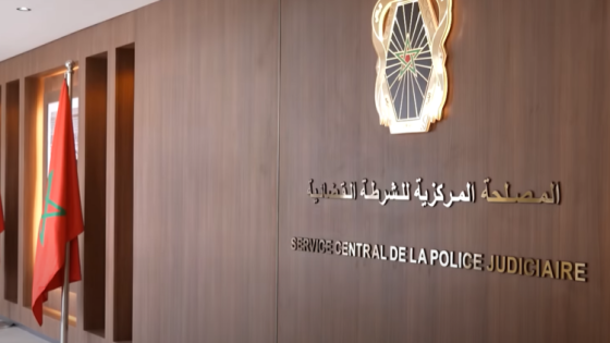 لابيجي د الجوندارم فالمغرب كشفت زيادة كبيرة في عدد الجرائم الإلكترونية