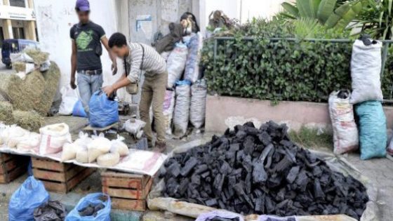تنفيذا لتوجيهات الملك .. السلطات المحلية بفاس و مكناس و صفرو … تبدأ بمنع بيع الأكباش والأنشطة المرتبطة بعيد الأضحى
