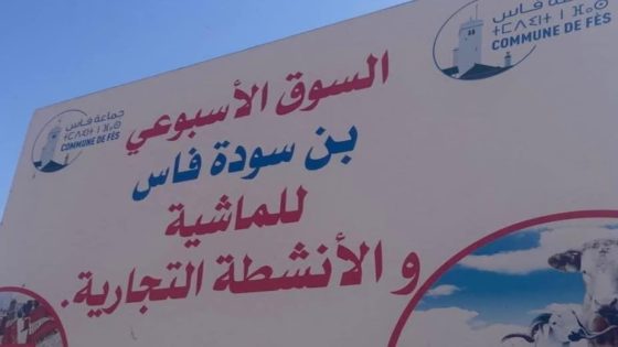 السوق د الماشية فبنسودة كايسد في السابعة صباحا و الباشا د المسيرة واقف على شغالو بيدو و المهنيون عاجبهم الحال