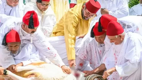 الملك ينحر أضحيتي العيد باسم جلالته و نيابة عن شعبه الوفي