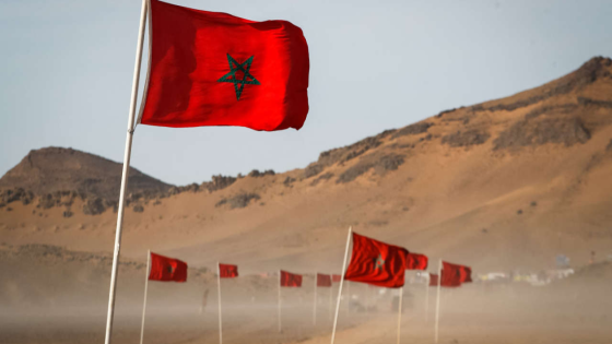 غامبيا تواصل تأكيد دعمها الثابت للمبادرة المغربية للحكم الذاتي بالصحراء المغربية