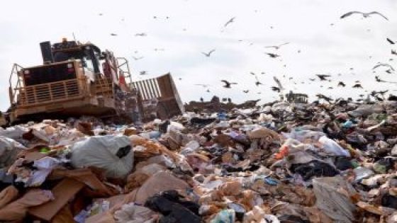 ريحة الزبل خنقات فاس.. واش هادي هي المدينة اللي غادي تستقبل كأس إفريقيا و كأس العالم ؟