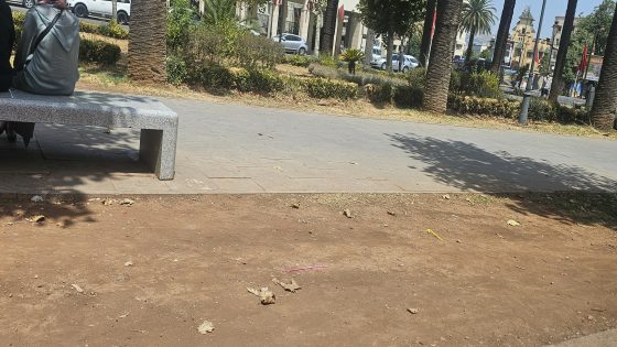 ها كيفاش أصبحت المساحات الخضراء بفاس بسبب إهمال و عبث المنتخبين و على رأسهم مجلس جماعة فاس