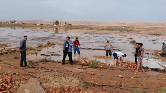 اللي ما كايحسش بالدرويش و يخرج الزكاة ها شنو كايوقع . . . عاصفة رعدية تتلف عشرات الهكتارات من البصل