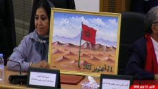 نائبة عمدة فاس ترفع صورة العلم الوطني كلما تكلمت المعارضة.. الاستفزاز بالوطنية و ممثل السلطة ساكت كايتفرج في هاد العبث