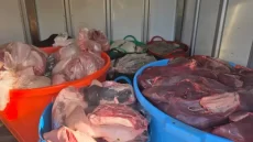 حجز طن من اللحوم الفاسدة كانت في طريقها إلى بطون المغاربة