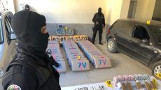 حتى الديستي في فاس دارت مجهودات كبيرة في 2025 و العناصر الشابة ديالها طيحات شبكات البزنازة و مافيات القرقوبي