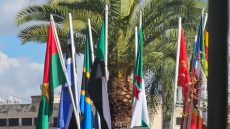 قاصرين سرقو علم الجزائر وغينيا من ساحة بوجلود وبحث أمني متواصل بفاس لتوقيفهم