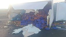 كاميو عامر بالبيض تقلب فلوطوروت د فاس وكان غادي يدير كارثة