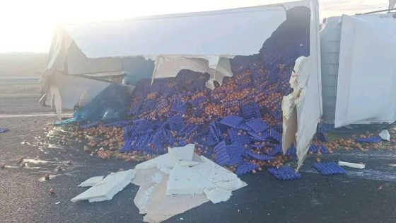 كاميو عامر بالبيض تقلب فلوطوروت د فاس وكان غادي يدير كارثة