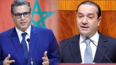 محمد شوكي السياسي الشاب الذي قلب الموازين و بعثر سيناريوهات الخصوم بترشحه لمنصب رئيس حزب التجمع الوطني للأحرار