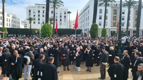 فكّها يامن وحلتها.. وهبي في ورطة بعد الشلل التام الذي ضرب المحاكم بسبب إضراب المحامين