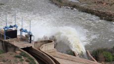 الحمد لله السدود عمرت ونسبة ملء السدود تجاوزت 50 في المائة