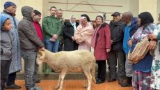 السلطات المحلية تتكفل بعقيقة سيدة ولدت في الفيضانات