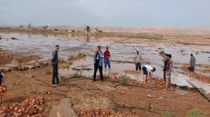 بسبب الفيضانات بزاف ديال الفلاحة ضاعت.. واش الدولة غا تعوضهم ؟