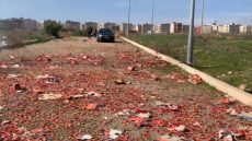 بغاو يخرجوا على الاطفال . . . كاميو د الشكلاط بيريمي رماه فمنطقة خلاء بفاس و هرب