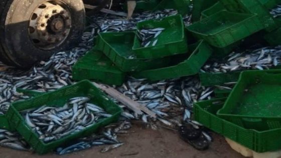 الكاميونات ديال السردين كيخرجو من العيون للشمال وسكان الصحراء مخلينهم بلاش.. وكاميو تقلب فرش الفراقشية