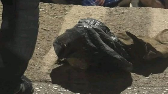 ياربي السلامة.. العثور على جمجمة وعظام بشرية بفاس بالقرب من حافة مولاي ادريس