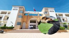 جماعة فاس مطالبة باش تعوض الضحية لي عضو كلب فالمدينة القديمة ب 2 مليون و نص