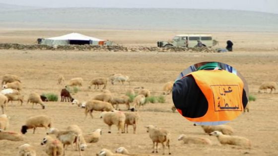رعاة رحل سيفطو مقدم للسبيطار بعد تدخل ديالو لمراقبة رعي الأغنام
