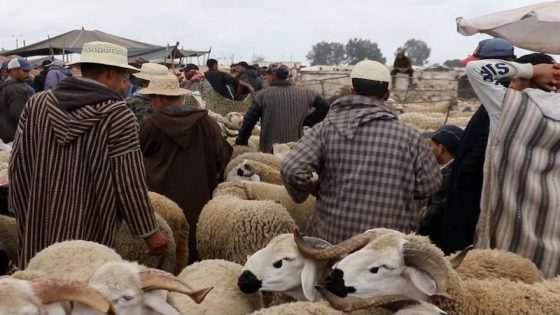 المغاربة دايرين حملة فوسائل التواصل الاجتماعي بغاو الحولي مايفوتش 2000 درهم هاد لعام ضد فالشناقة