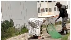 حالة استنفار فتازة.. كلبة ضالة عضات قرابة 30 واحد