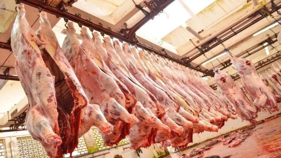 قالك مخطط المغرب الأخضر : لحم البكري غادي يغلى فالمغرب فالأيام الجاية و ها علاش