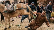 نهاية مأساوية لفلاح مات بركلة د البغل ديالو
