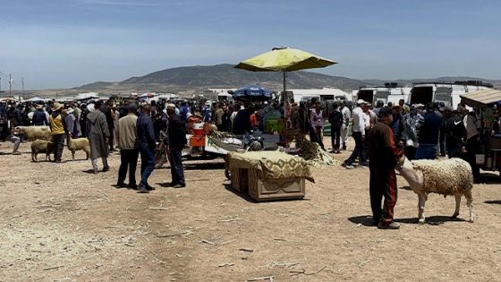 السلطات المحلية قرقبو على 5 شناقة بسوق الغنم فبنسودة بفاس اللي كيطيروا بالكساب وكيغليو الحولي على الدرويش