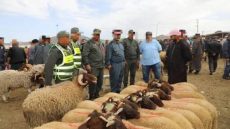 خطة ذكية من عند الجدارمية سيفطات 9 سماسرية ديال لحوالا للحراسة النظرية