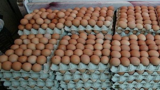 البيض موجود والسوق طايح.. كواليس تراجع اسعار البيض مباشرة من بعد عيد الاضحى بسبب قلة الاقبال