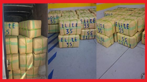 ضربة معلم : معلومات استخباراتية مكنت الفرقة الوطنية من إحباط حوالي 3 طن د الحشيش