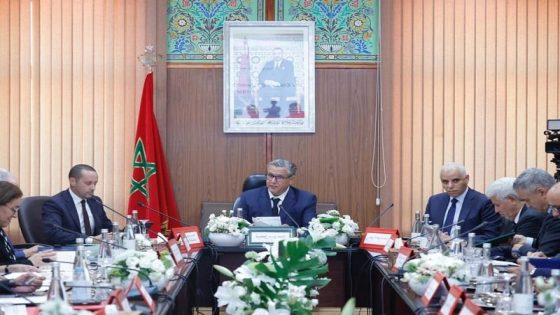 برئاسة أخنوش.. فاس تحتضن أول مجلس إدارة للمجموعة الصحية الترابية لجهة فاس مكناس