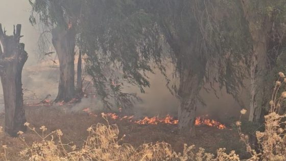 حر_يق غابوي كيستنفر الوقاية المدنية قرب مصحة السلايكي بفاس