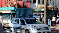 الدرك الملكي ف إفران كيطيح بشبكة ديال الفراقشية شفروا 71 راس د الغنم