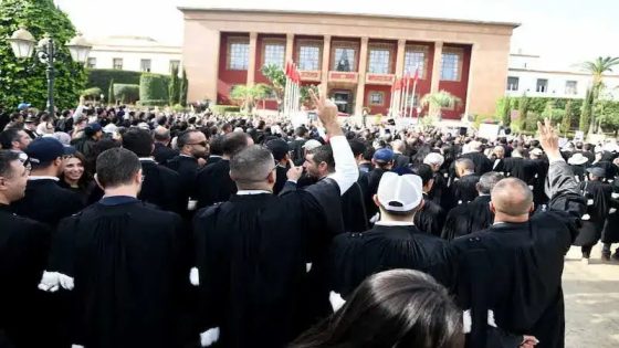 وزير العدل عبد اللطيف وهبي يهدد بمتابعة محامين جنائيا بسبب تدوينات التخوين والعصيان المدني