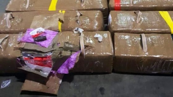 الديستي تقود لابيجي لإحباط محاولة تهريب طنين من المخدرات وتوقيف شخصين